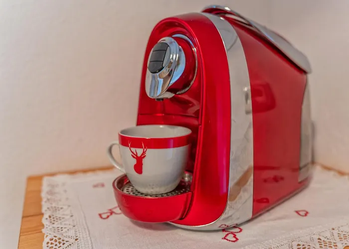 Johanna * Reith im Alpbachtal