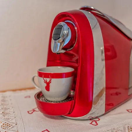 Johanna * 里斯奥尔巴赫塔